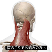 画像1005
