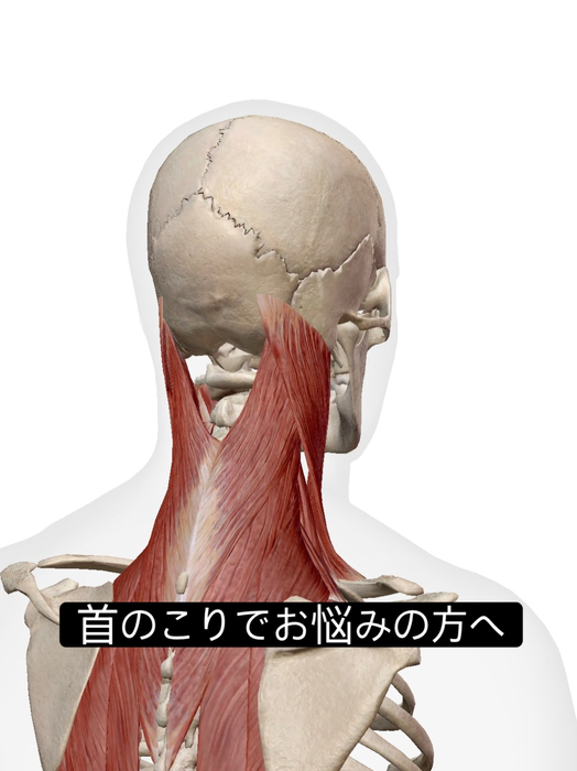 画像1005