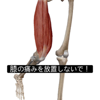 画像1009