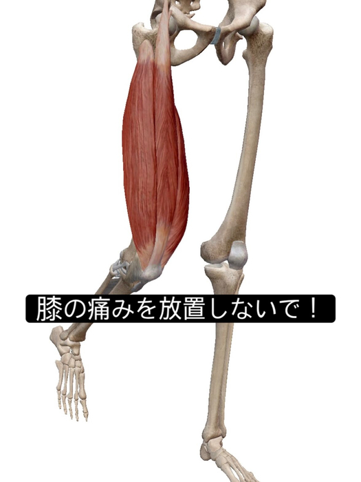 画像1009