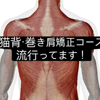 画像1011