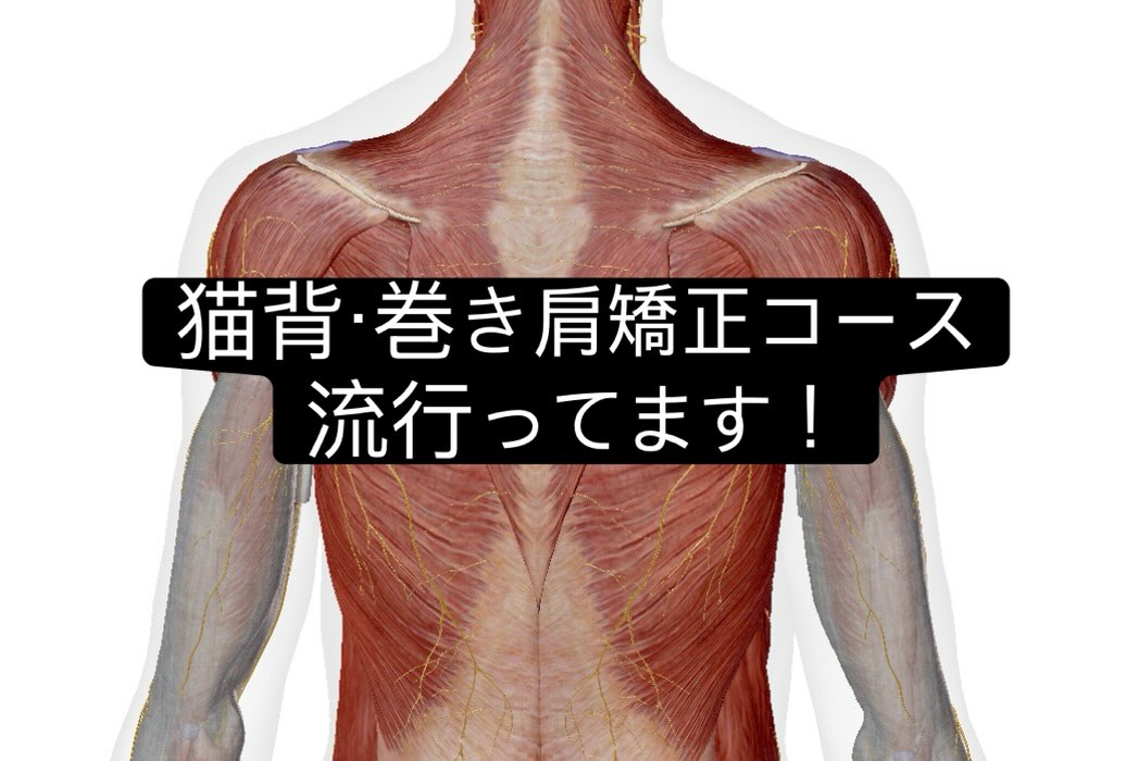 画像1011
