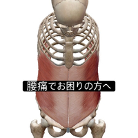画像1013
