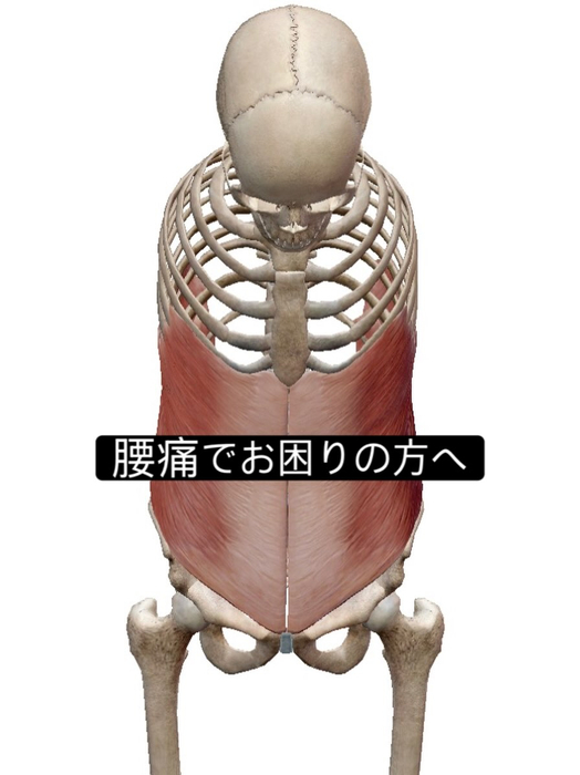 画像1013