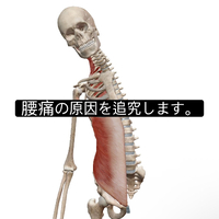 画像1015