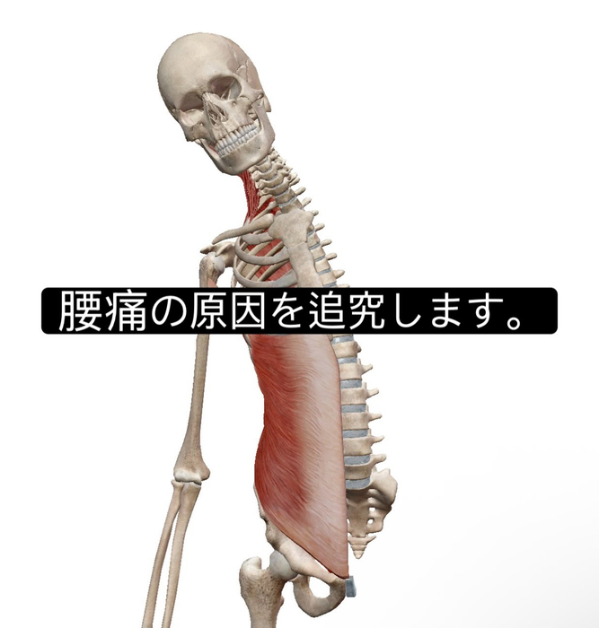 画像1015