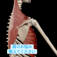 画像1017