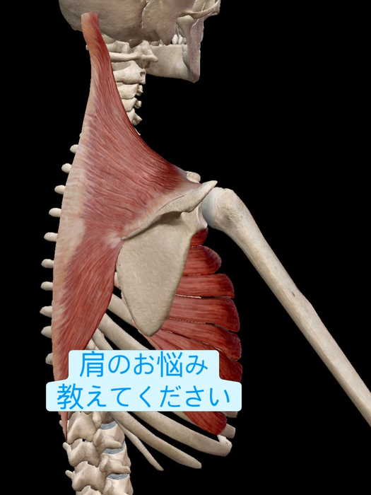 画像1017