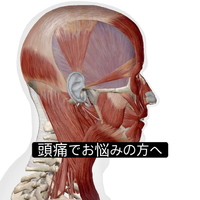 画像1023
