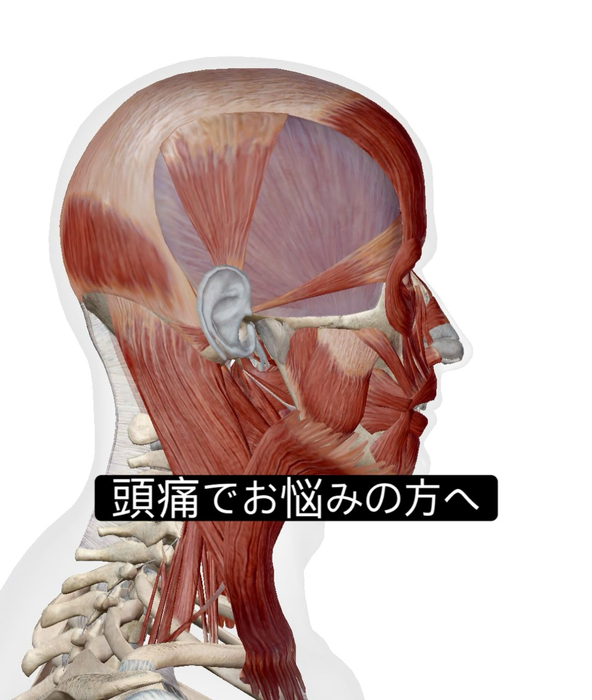 画像1023