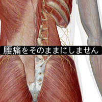 画像1025