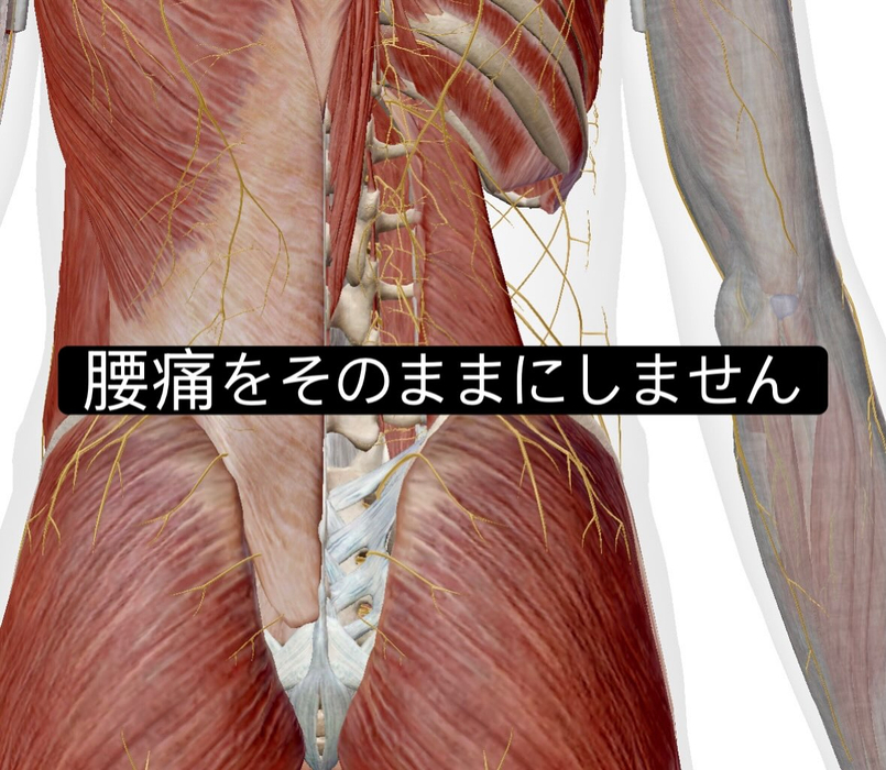 画像1025