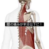 画像1049