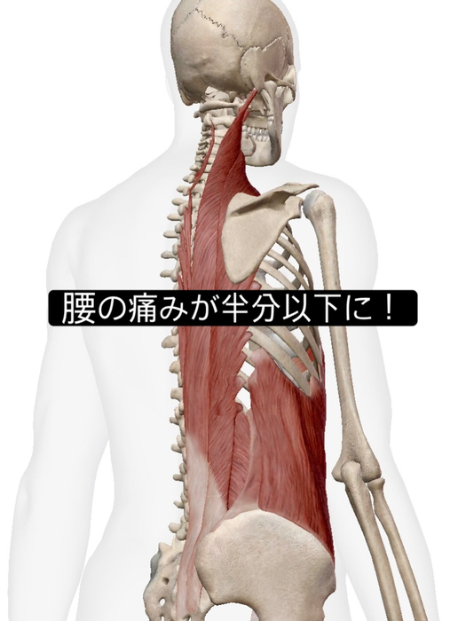 画像1049
