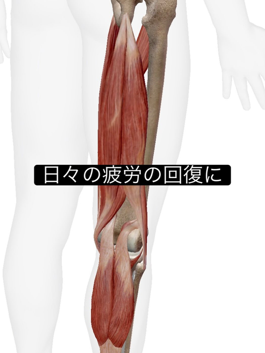 画像1051