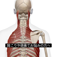 画像1056