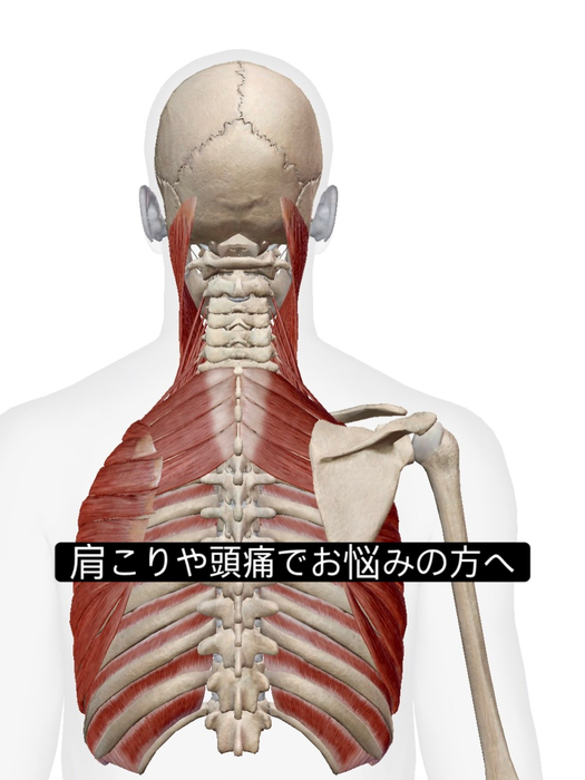 画像1056