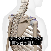 画像1058