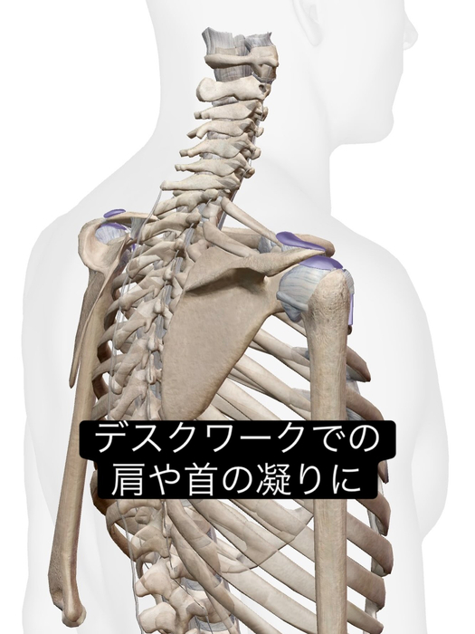 画像1058