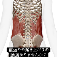 画像1060