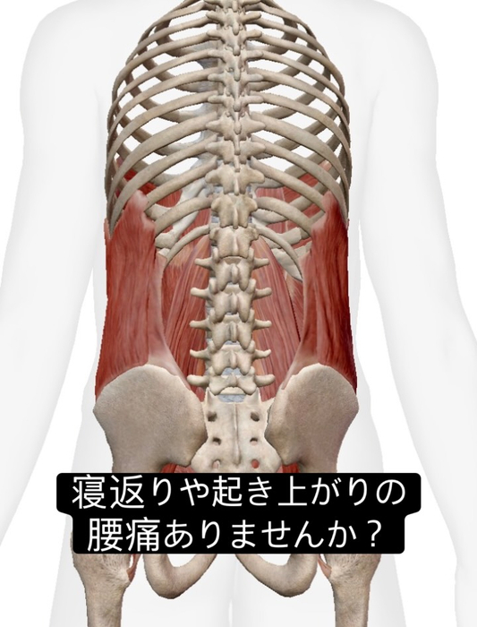 画像1060
