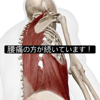 画像1064