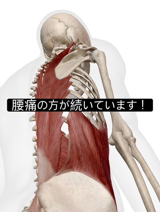 画像1064
