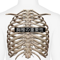 画像1066