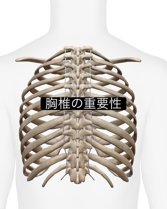 画像1066