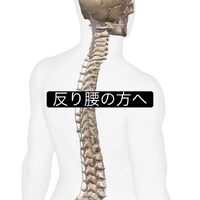 画像1068