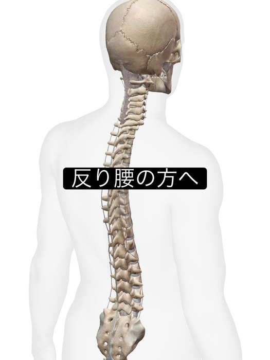 画像1068