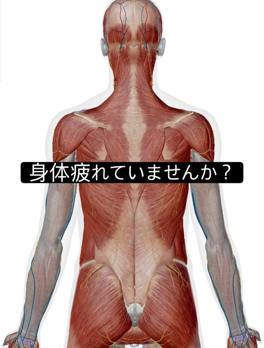 画像1072