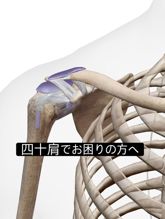 画像1074