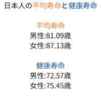画像391