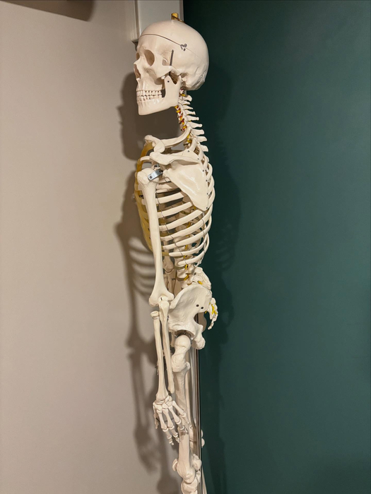 画像431