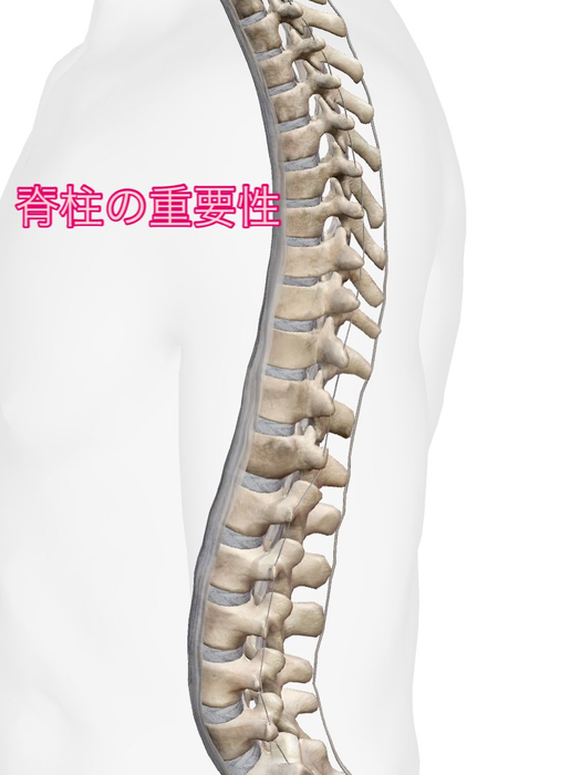 画像611