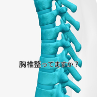画像613