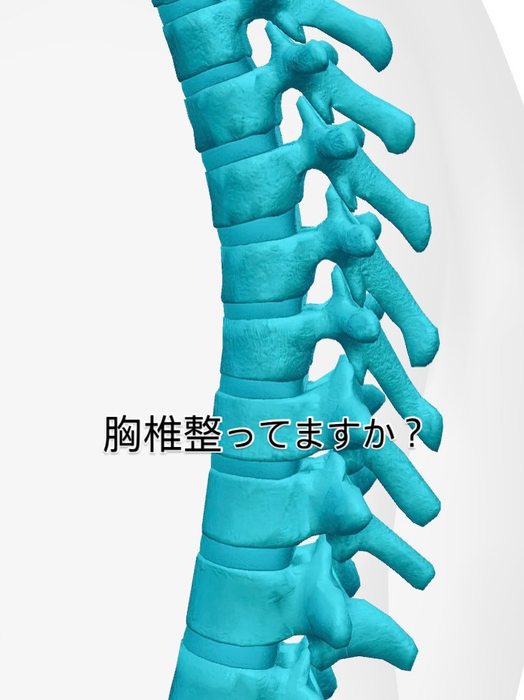 画像613