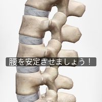 画像617