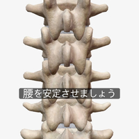 画像619