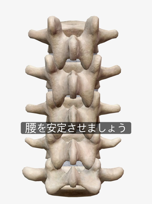 画像619