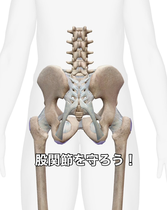 画像643