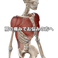 画像653