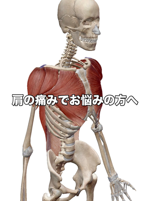 画像653