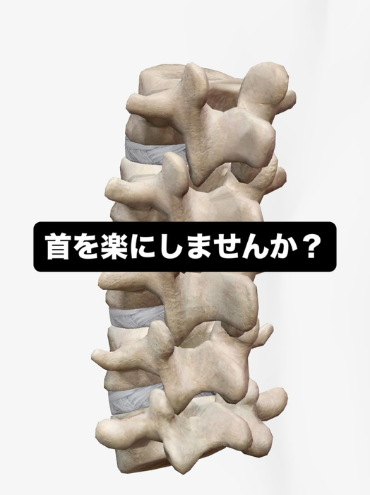 画像667