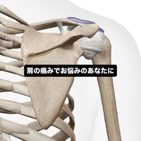 画像669