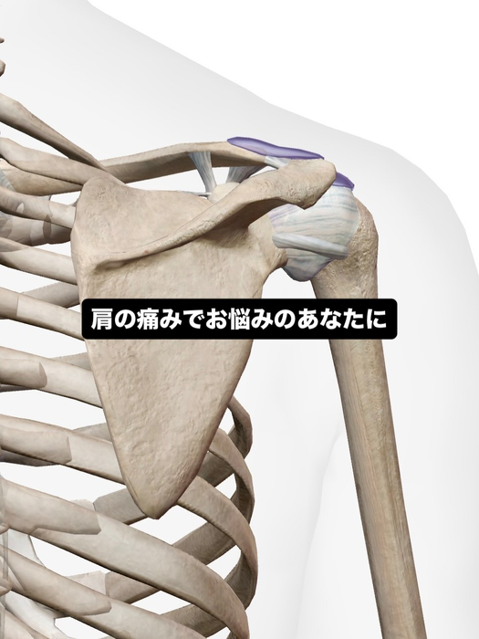 画像669