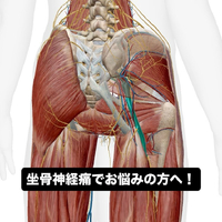 画像681