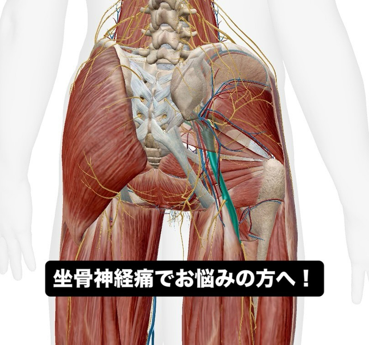 画像681