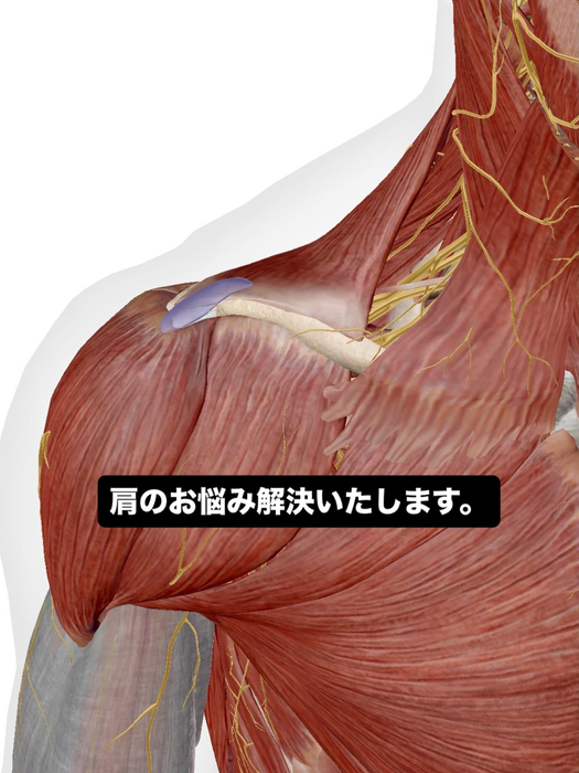 画像683